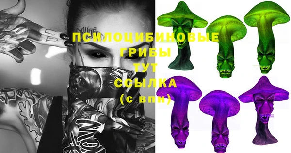 тгк Аркадак