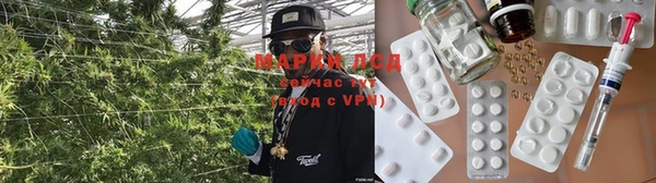 тгк Аркадак