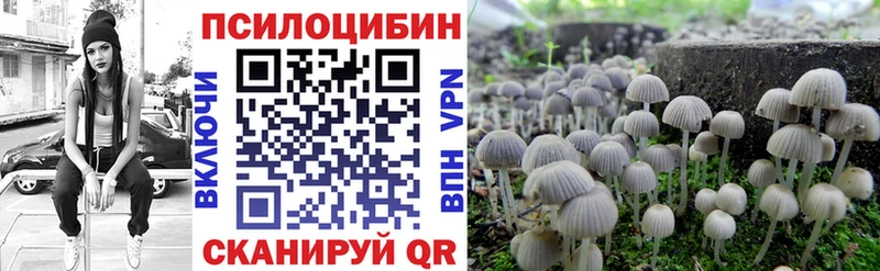где купить   Дорогобуж  Псилоцибиновые грибы Cubensis 